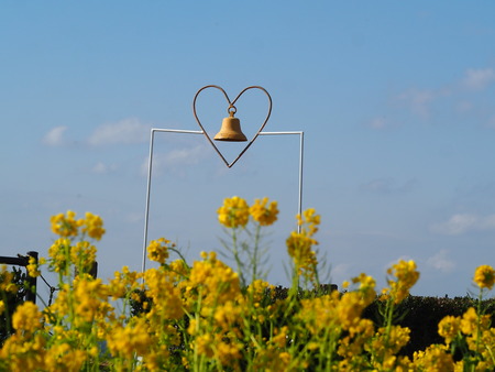 Ĺ�������ꡡ����ε֡���¦Ÿ˾��κڤβ�P1012064