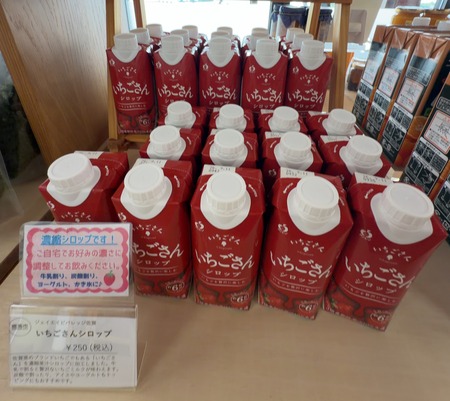 鹿島市 海道しるべ いちごさんシロップIMG_5569