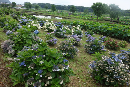 3�����������ϥ���DSC08882