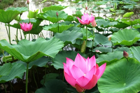 10-���������ϥ���DSC09802