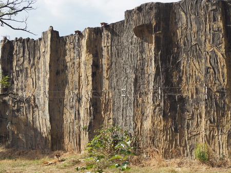 2021.11.14 �����ݻԡ��彽����ư��ʪ�ࡡ�������PB136194