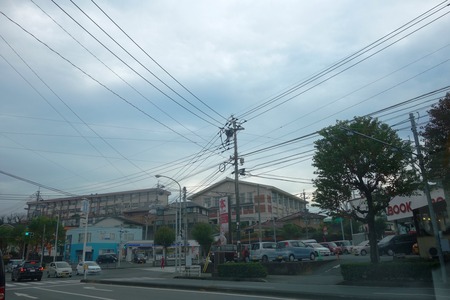 1-シェリールDSC09986