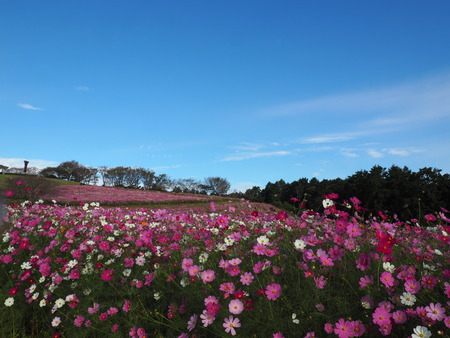 2023.10.13�����ᡡ�������⸶PA131450