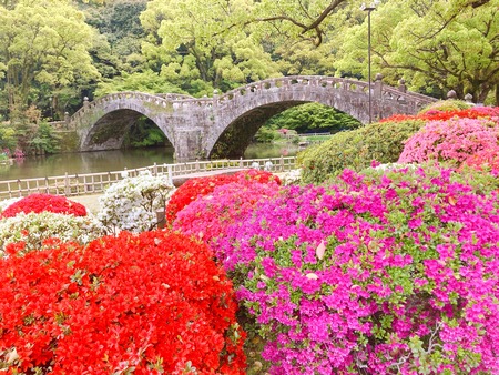 2022.04.13 �������IMG_4831