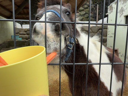 Ĺ����ࡡ����åȤΥ�������IMG_8276