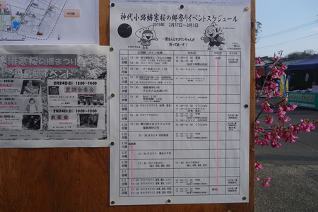 20-神代小路DSC06410