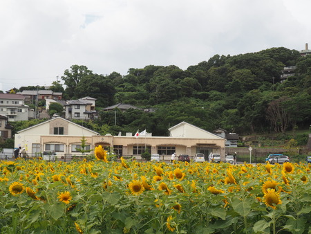 2022.07.16 諫早市森山町 唐比ハス園P7142515