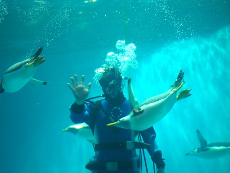 Ĺ��ԡ�Ĺ��ڥ󥮥��²��P2142118