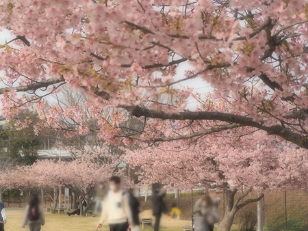 �׸�����_1677937926