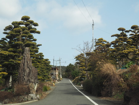2023.02.15 長崎市松原町 原種梅林 虎馬園P1016019