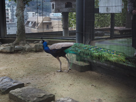 Ĺ����ࡡ�����㥯�Υ��������P2141748