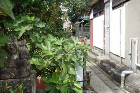 11-���餯��DSC03187