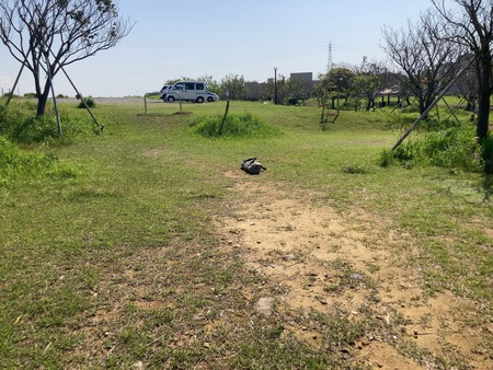 ����ԡ���������ŤĤߥ�����IMG_1130