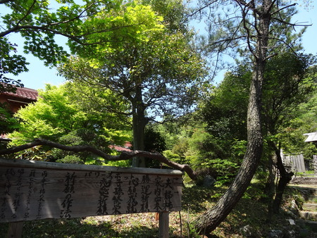 13-DSC01691