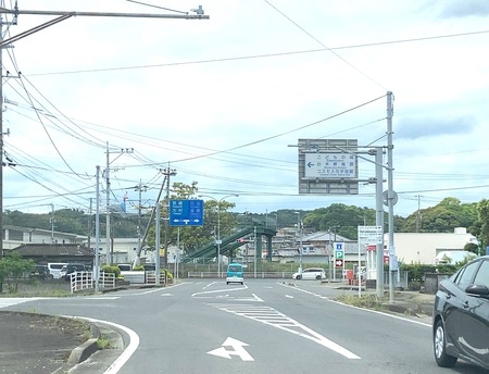 2024.06.14 諫早市長田町 青ごしょうIMG_5638