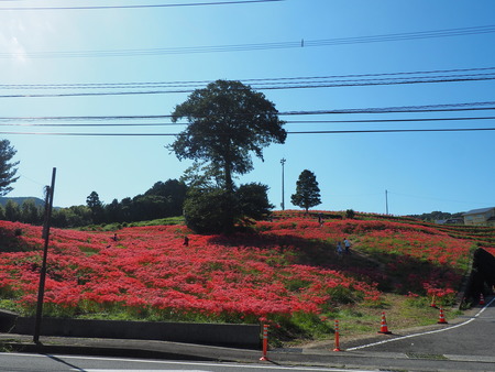 ĹԶ׳ΤֱֲPA021357