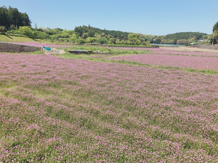 大村市東野岳町 OSOTOYA オソトヤIMG_2851