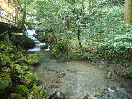 20-19-������项��Į����ޤ��ΤP8220313