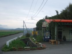 ma-4DSCF4951