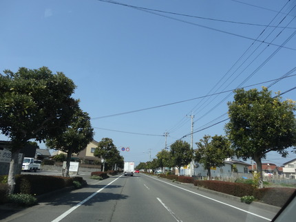 12-DSC06235