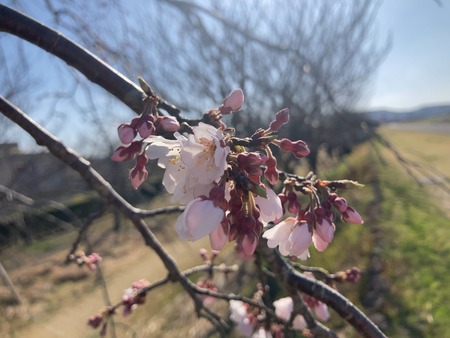 2024.03.22 長崎浜屋あんこ展IMG_6480