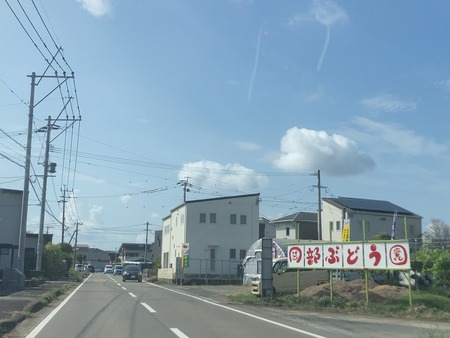 2024.08.27 岡部ぶどうIMG_9699