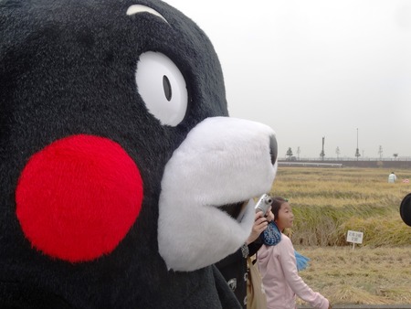 11-DSC09739 - ¥³¥Ô¡¼
