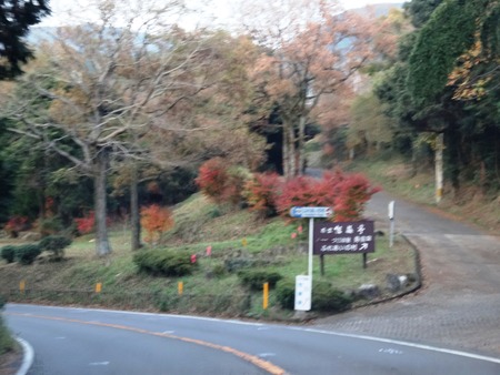 21-DSC05518