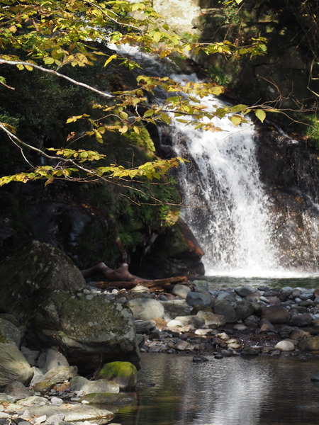 ����Թ���Į�����ή����ζ�����ն�PB261585