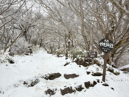 雲仙仁田峠の霧氷IMG_3925