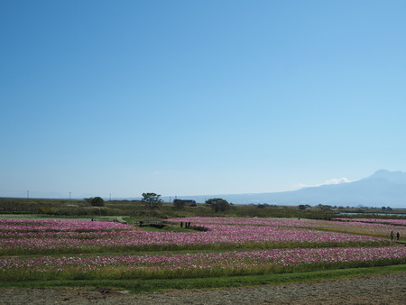 17-£Ê£Ò¥¦¥©¡¼¥¥ó¥°¡¡´ÒÁá»Ô¹âÍèÄ®PA251893