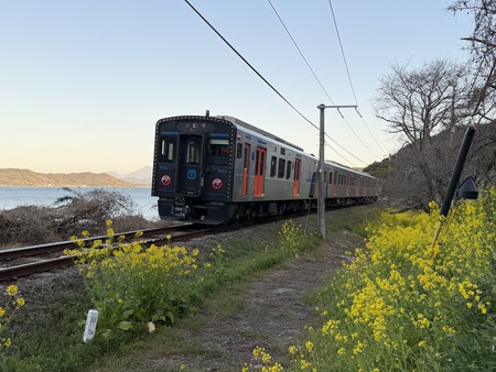 ¿�ɸ�Į����Х���κڤβ�IIMG_3131