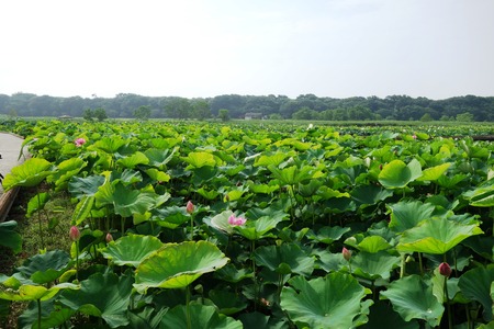 4-��������ϥ���DSC08355