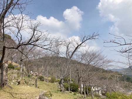 2023.03.12 長崎市 立山公園IMG_4362