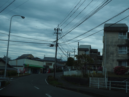 4-諫早市福田町 梅蓮P4190493