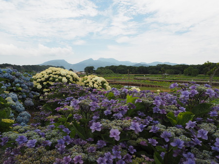 2022.05.31 ����Կ���Į������ϥ���P5291032