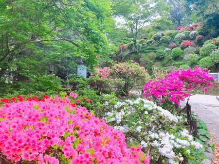 2022.04.13 �������IMG_4853