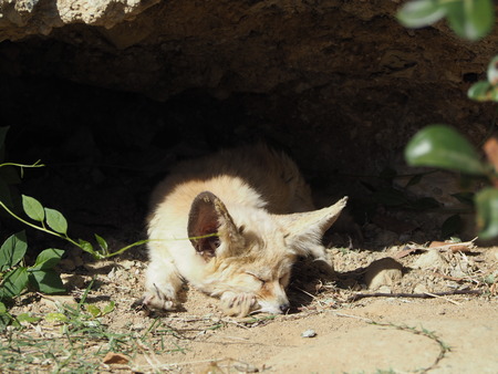 2021.11.14 �����ݻԡ��彽����ư��ʪ�ࡡ�������PB136411