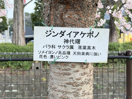 �������籿ư����IMG_5286