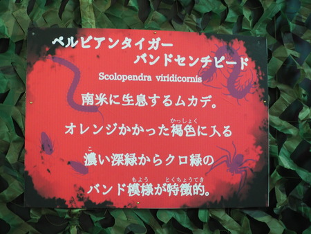 2021.11.13 佐世保 森きらら ゾッとするいきもの展PB136287