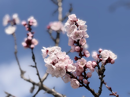 ����Ծ��������ΰɤβ�IMG_1319