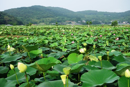 5-��������ϥ���DSC08324