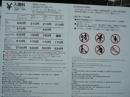 2021.11.14 �����ݻԡ��彽����ư��ʪ�ࡡ�������PB136146