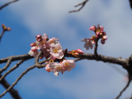 2023.02.26���������P1011430