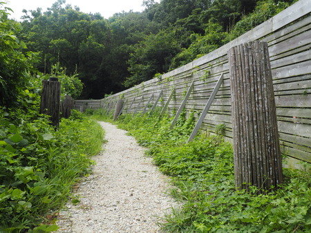 2023.07.29Ĺ��԰˲��硡�ץ쥸�㡼�������ɥߥ塼������P1010980