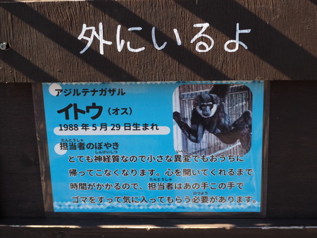 2021.11.14 �����ݻԡ��彽����ư��ʪ�ࡡ�������PB136507