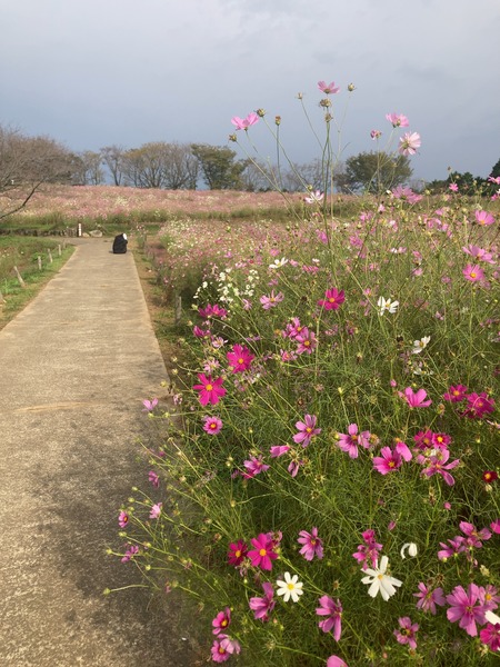 10.18�������⸶�����⥹IMG_9974