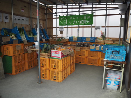 2022.01.14 雲仙市愛野町 無人販売トレベジP1092942
