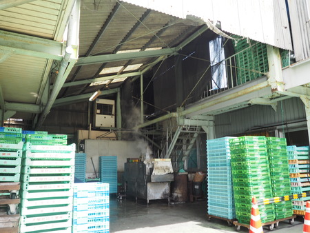 2022.06.21 東彼杵郡川棚町 大屋食品工業P5280953