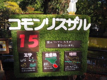 2021.11.14 �����ݻԡ��彽����ư��ʪ�ࡡ�������PB136643